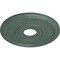 Ekena Millwork Genevieve Ceiling Medallion (Fits Canopies up to 3 1/2"), 16 1/8"OD x 3 1/2"ID x 7/8"P, Cloud Burst CM16GNCBF - alternate 2